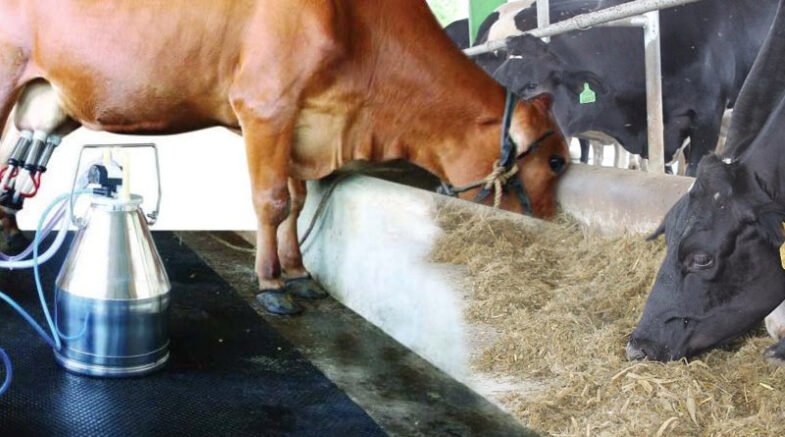 Trainings On Efficient Milking Practices Storage & Handling Complete