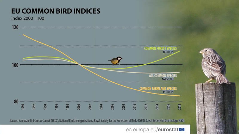 Bird Population Decline in Europe Impact of Farmland Practices