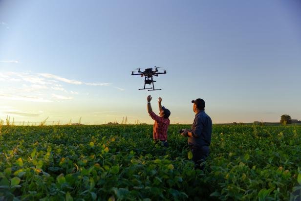Scientists Launch Africa Agriculture Watch To Aid Farmers With AI