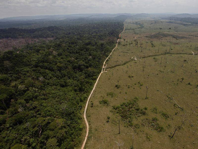Amazon Nations Unify On Environment, Deforestation Goal Remains