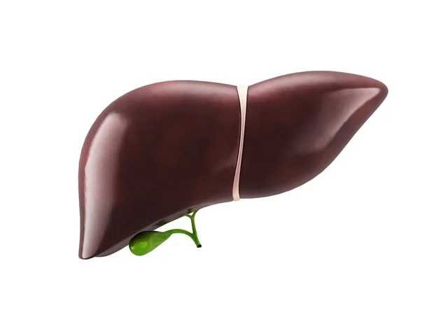 Resistant Starch Shows Promise In Slowing NAFLD Progression