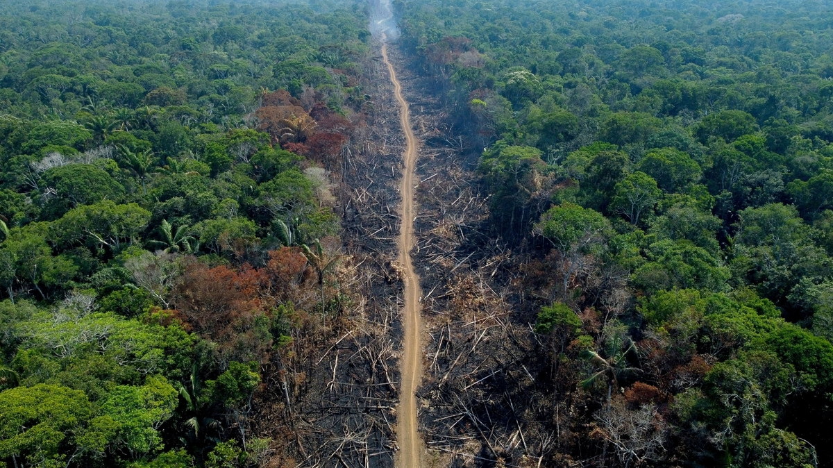 EU Mobilizes 260 Million Euros To Protect Amazon Rainforest