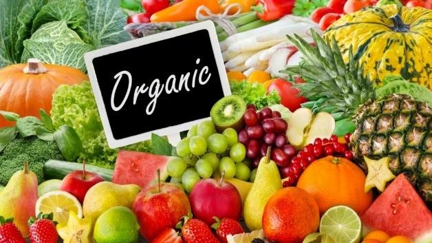 Organic Eating and Human Health