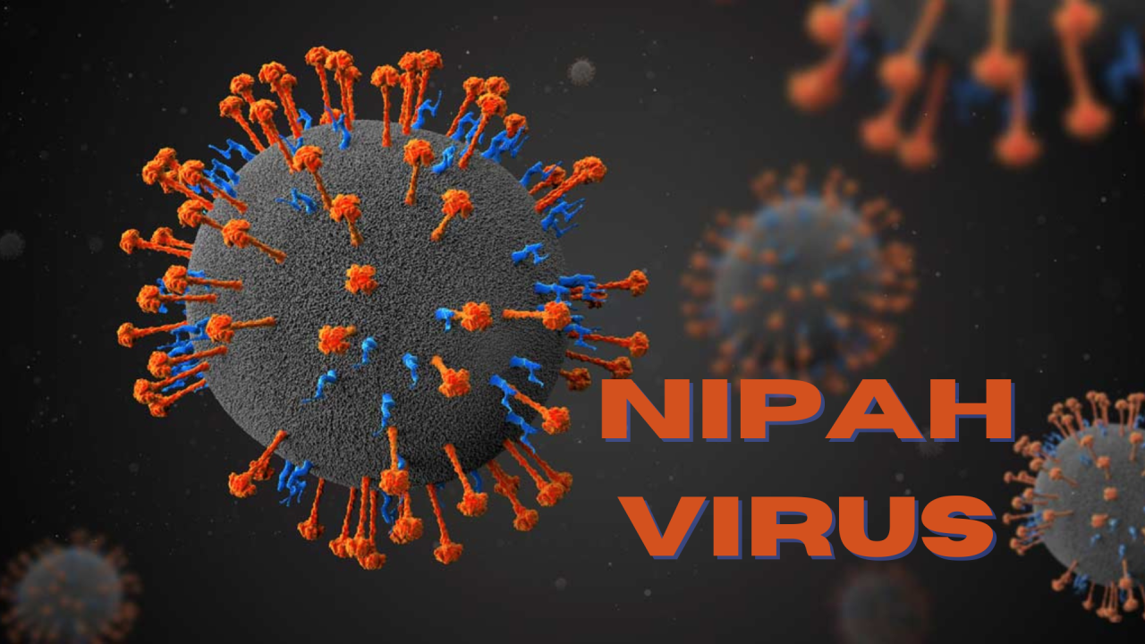 Nipah Virus: Understanding Threat And Preparing For Future