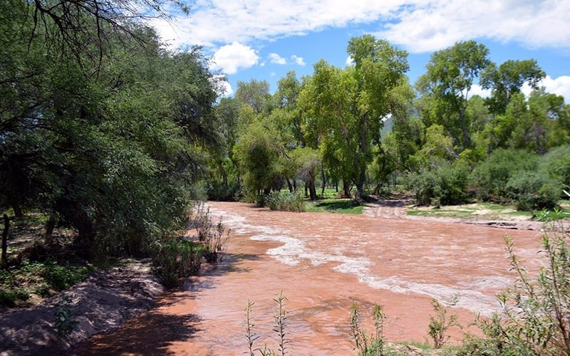Mexico Unveils Plan To Address Lingering Toxic Spill In Sonora River