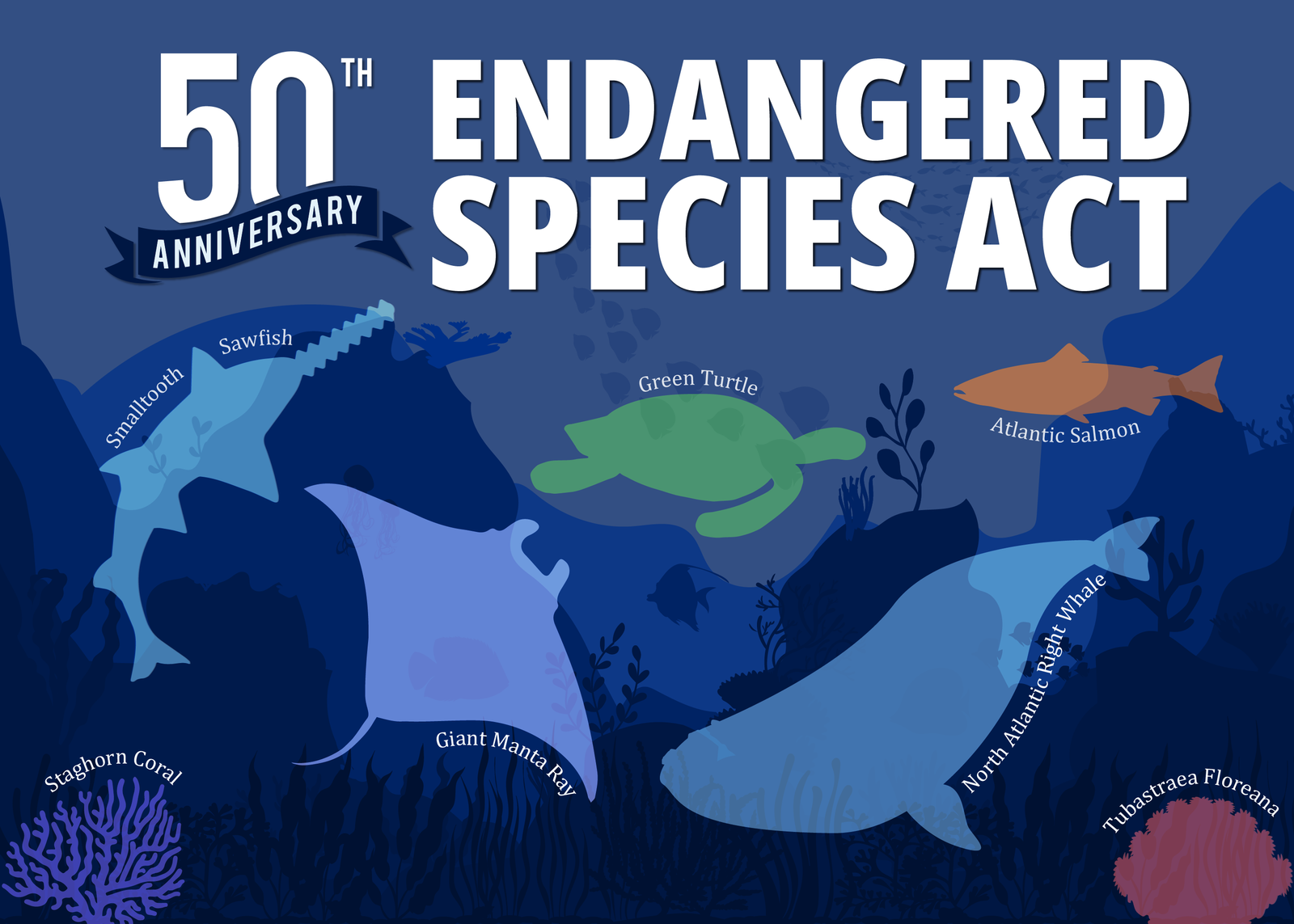 From Unity To Discord: 50 Years Of The Endangered Species Act