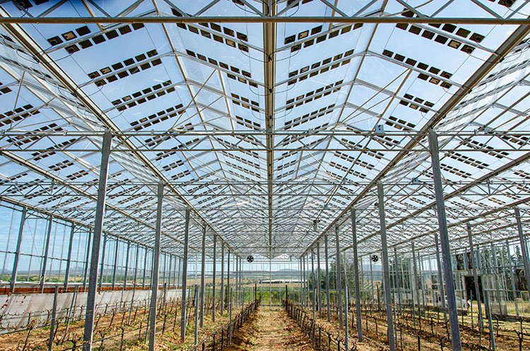 Brite Solar Shines Bright €8.6M Boost For Solar Glass Production