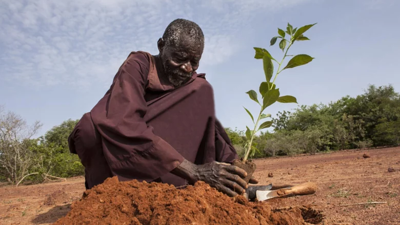 African Agriculture Tackles Food Crisis in Sahel with Sustainable Agriculture