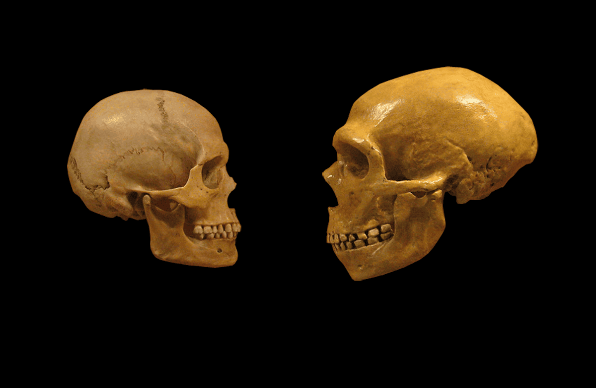 German bone fragments rewrite story of early homo sapiens