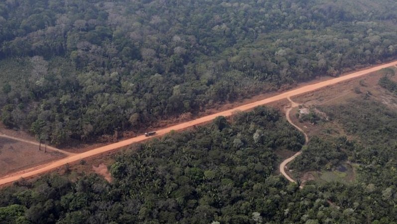 Green Giant Gets Greener: Brazil's Amazon Fund Secures $640 M Windfall
