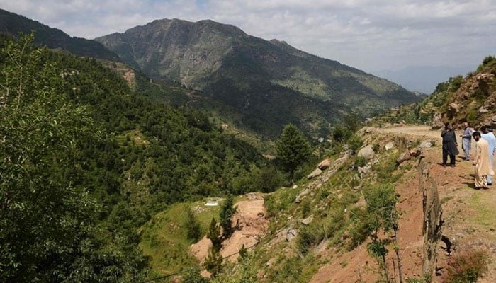 Pakistan Loses 20% of Forests Area in 24 Years, Study Reveals