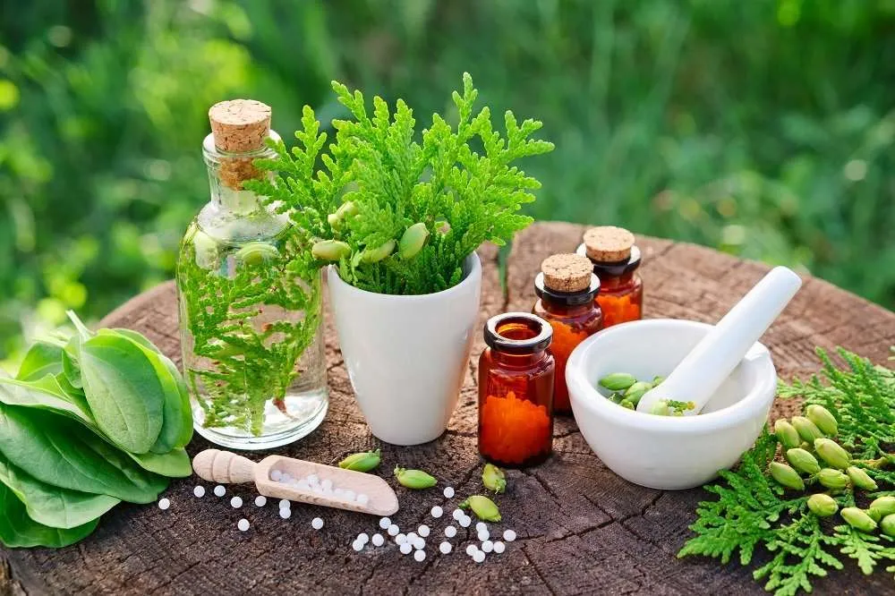 Revival of Herbal Medicine Rediscovering Nature's Pharmacy