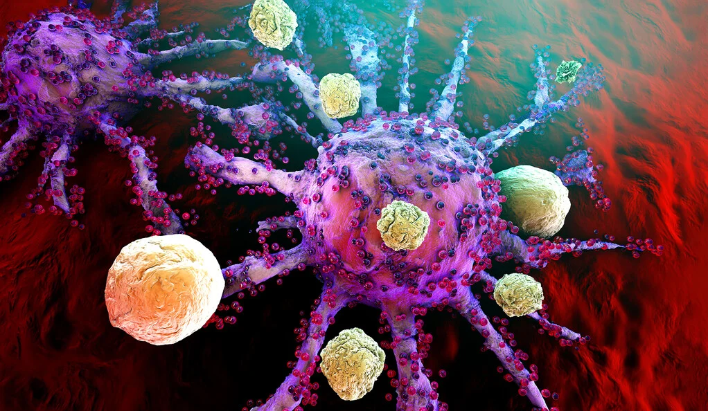 Study Finds Bias in Key Immunotherapy Tools, Warns of Unequal Care