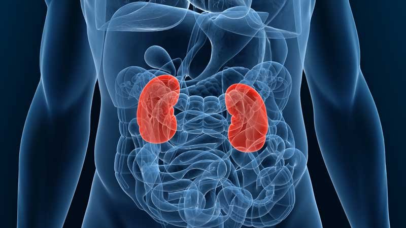 Bariatric Surgery Opens New Doors for End-Stage Renal Disease Patients