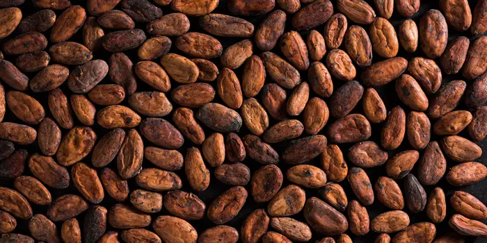 El Niño and Climate Change Cause Cocoa Prices to Soar