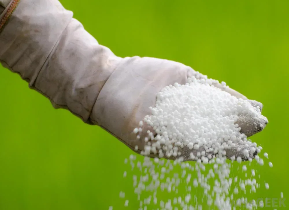 Government-Induced Gas Price Surge Prompts Urea Price Hikes