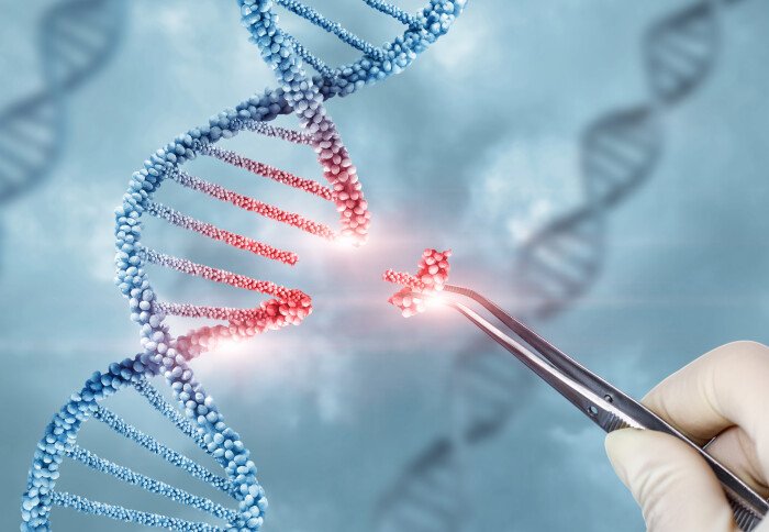 KPK Scientist Unlocks Genetic Breakthrough with MIT/Harvard
