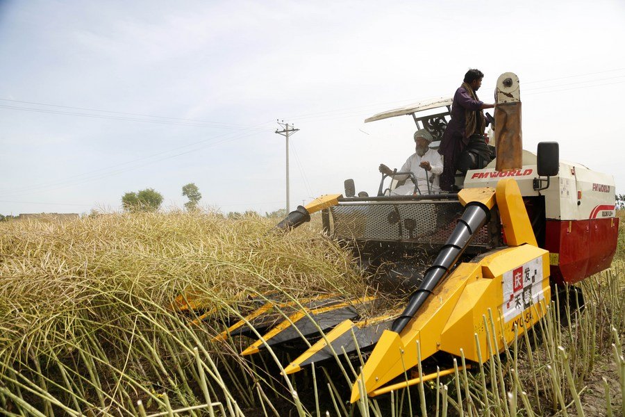 Chinese Oilseed Harvesters Enhance Productivity in Pakistan