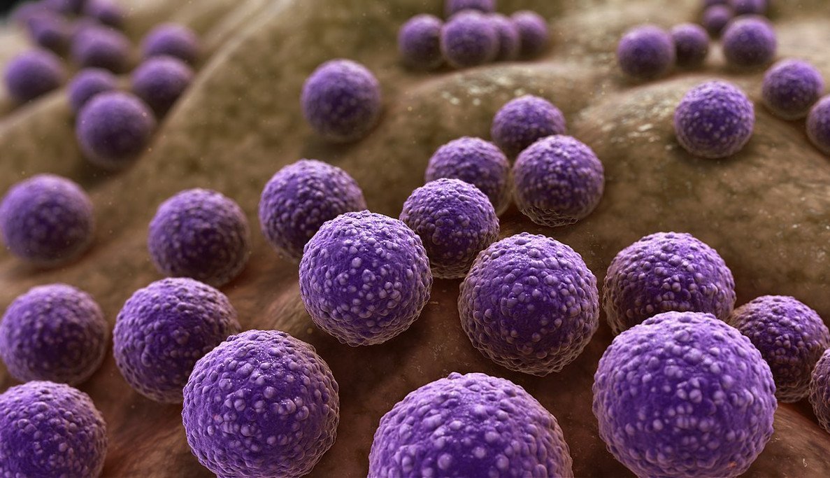 ECCMID 2024 reveals trends in European antimicrobial resistance