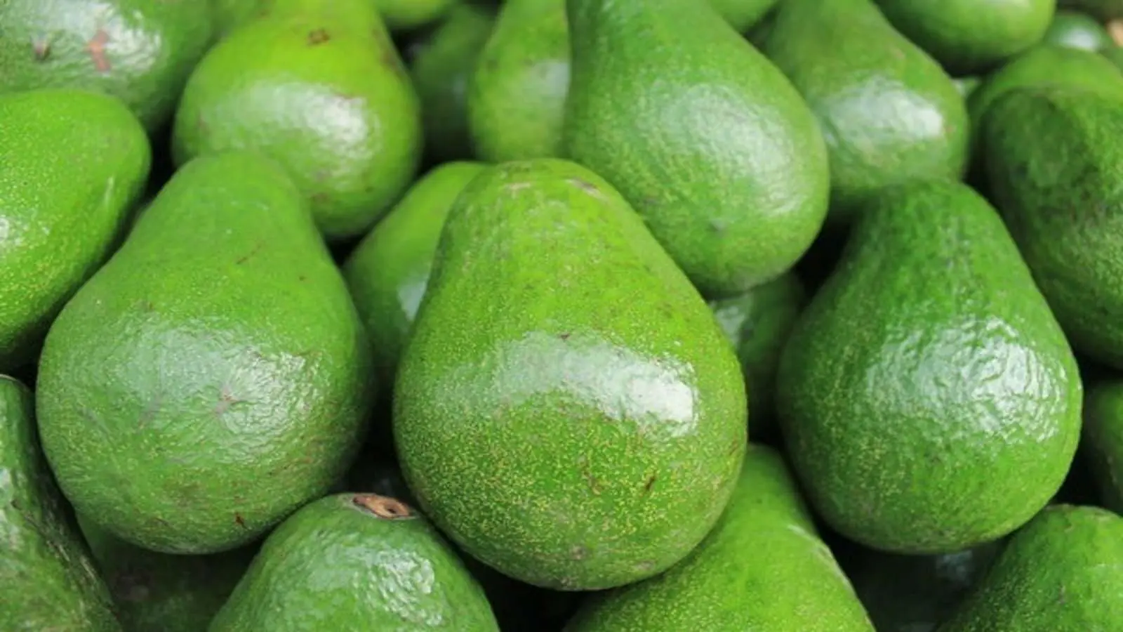 Scientists Find Eco-Friendly Food Packaging in Avocado Waste